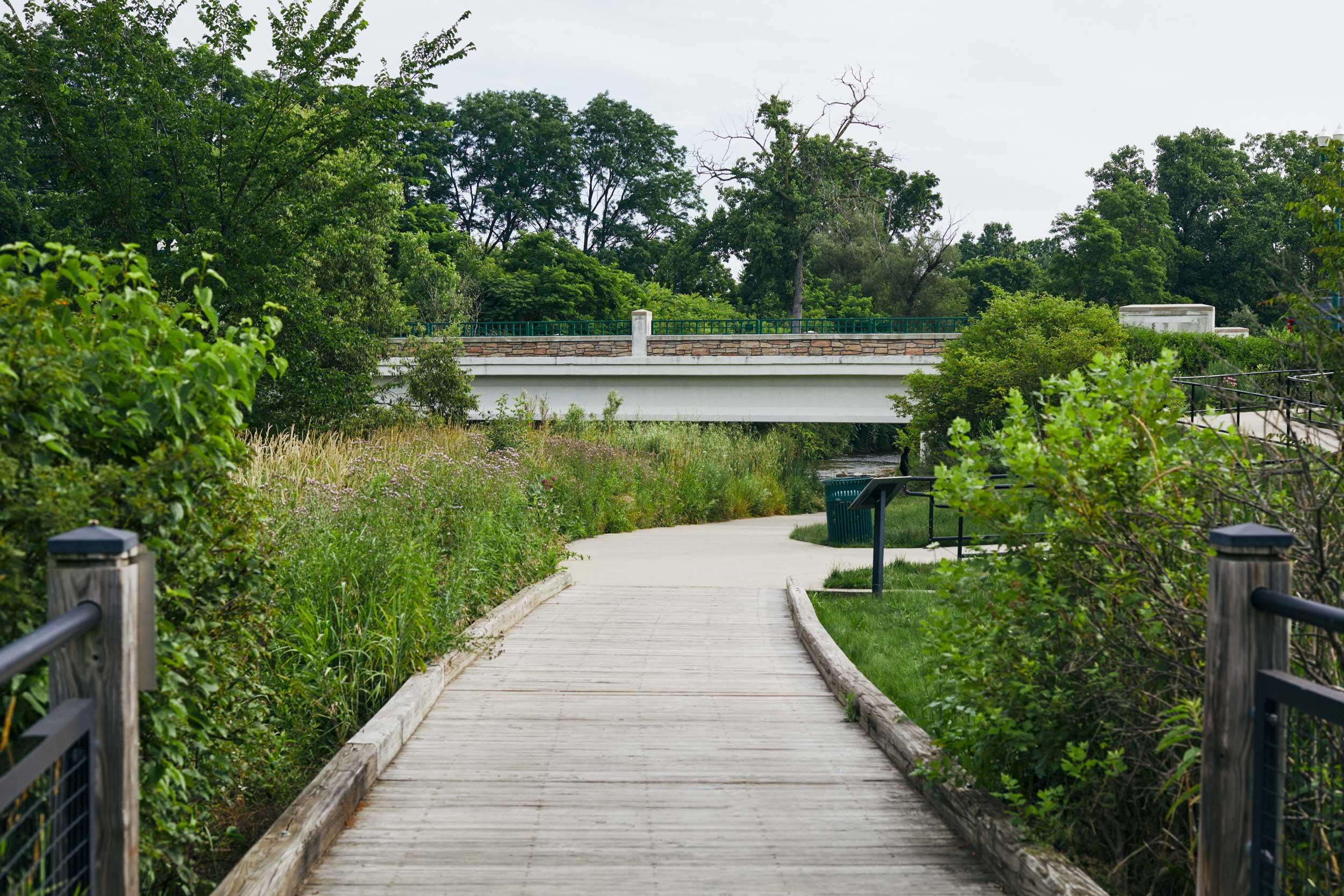 8180 Main Street, Unit 204 Dexter, MI 48130 - Photo 14 of 19 1Y5A7573_web