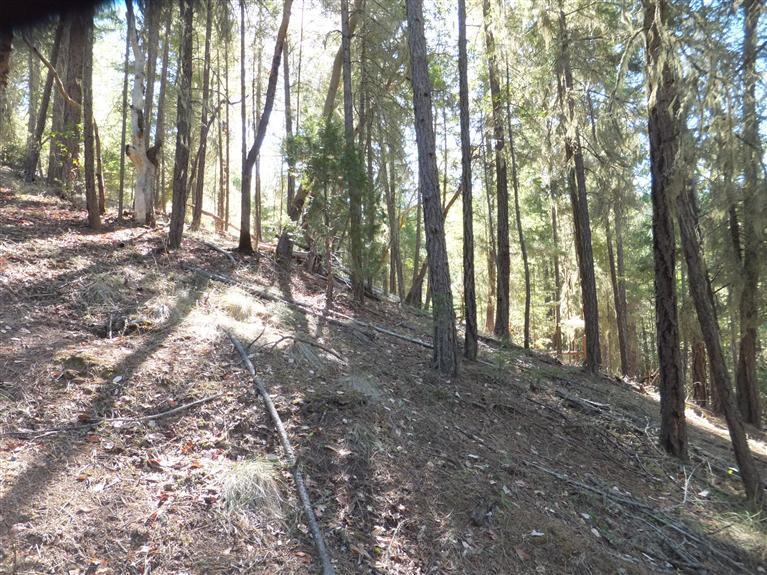 4477 Thompson Creek Road Jacksonville, OR 97530 - Photo 10 of 13 Additional Photo