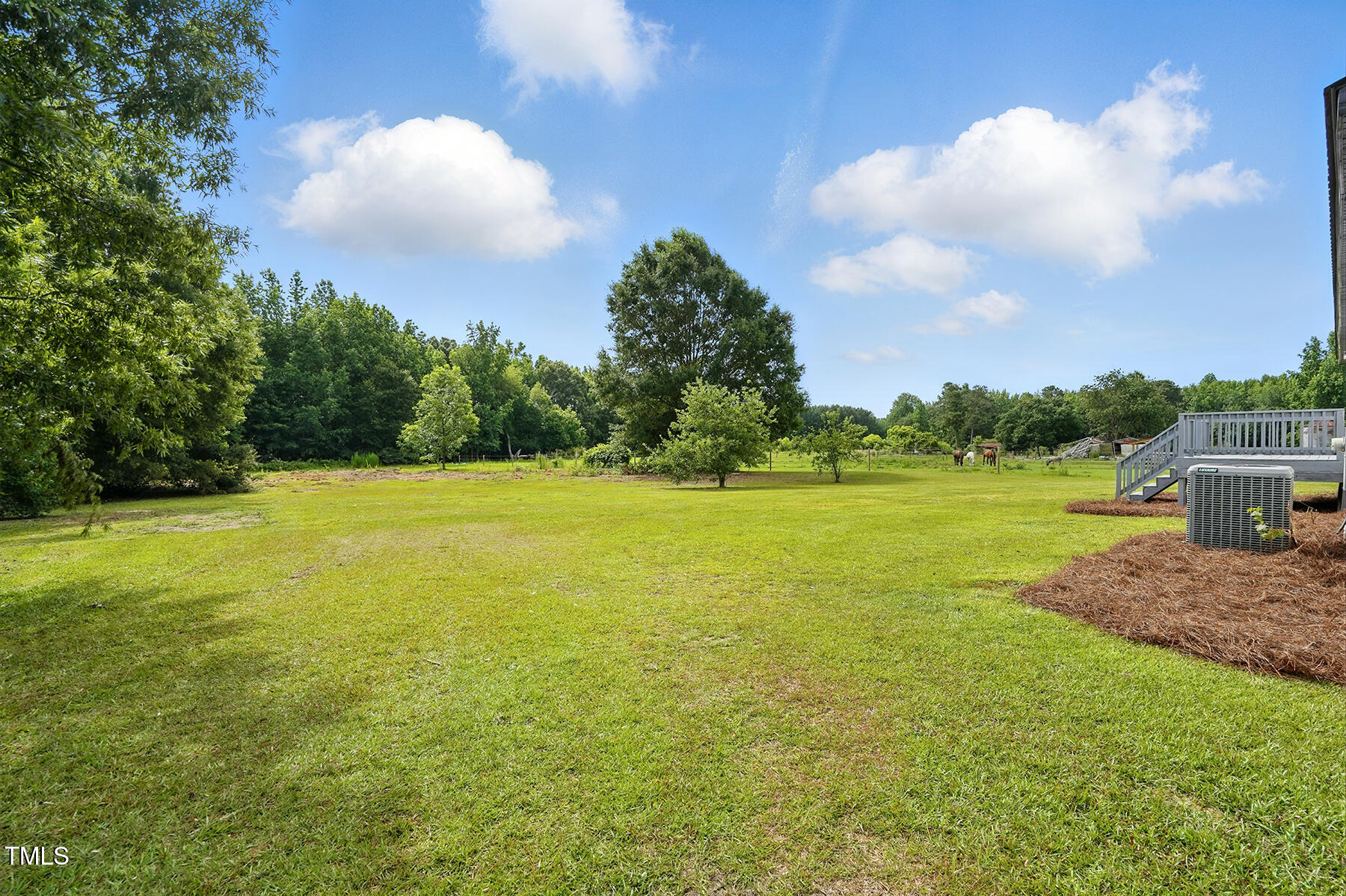 585 Smith Road Smithfield, NC 27577 - Photo 29 of 33 Back Yard