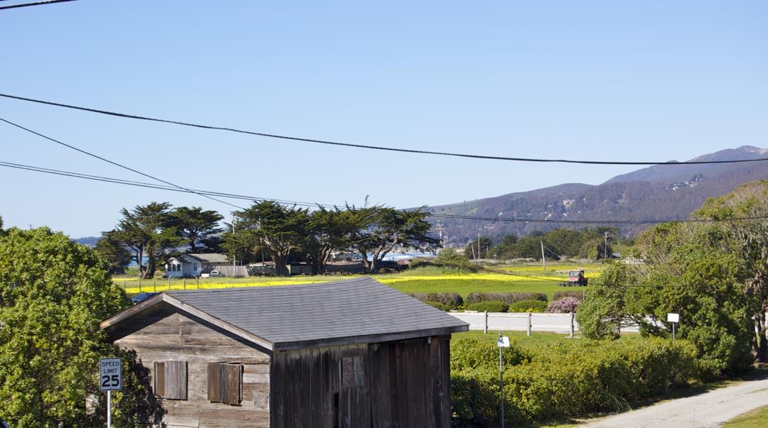 228 Kelly Avenue Half Moon Bay, CA 94019 - Photo 28 of 29 a view of a swimming pool with a lounge chairs