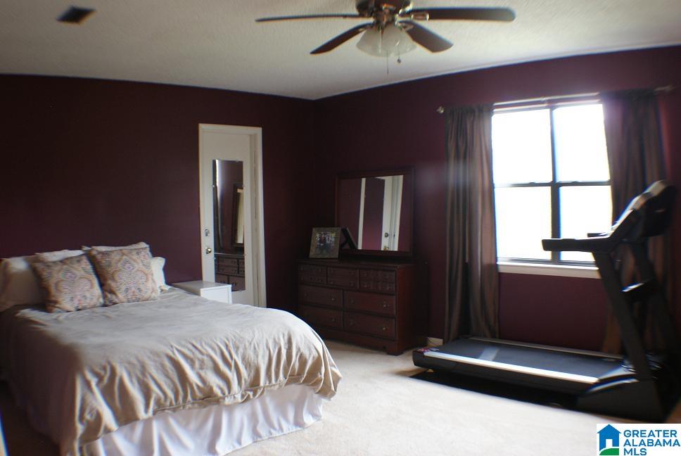 8605 Wolf Creek Road Pell City, AL 35128 - Photo 12 of 16