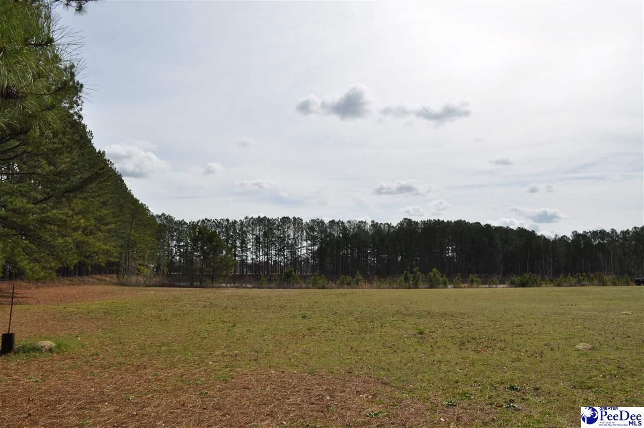 Tbd Crater Road Marion, SC 29571 - Photo 11 of 33 Gallery Image 11