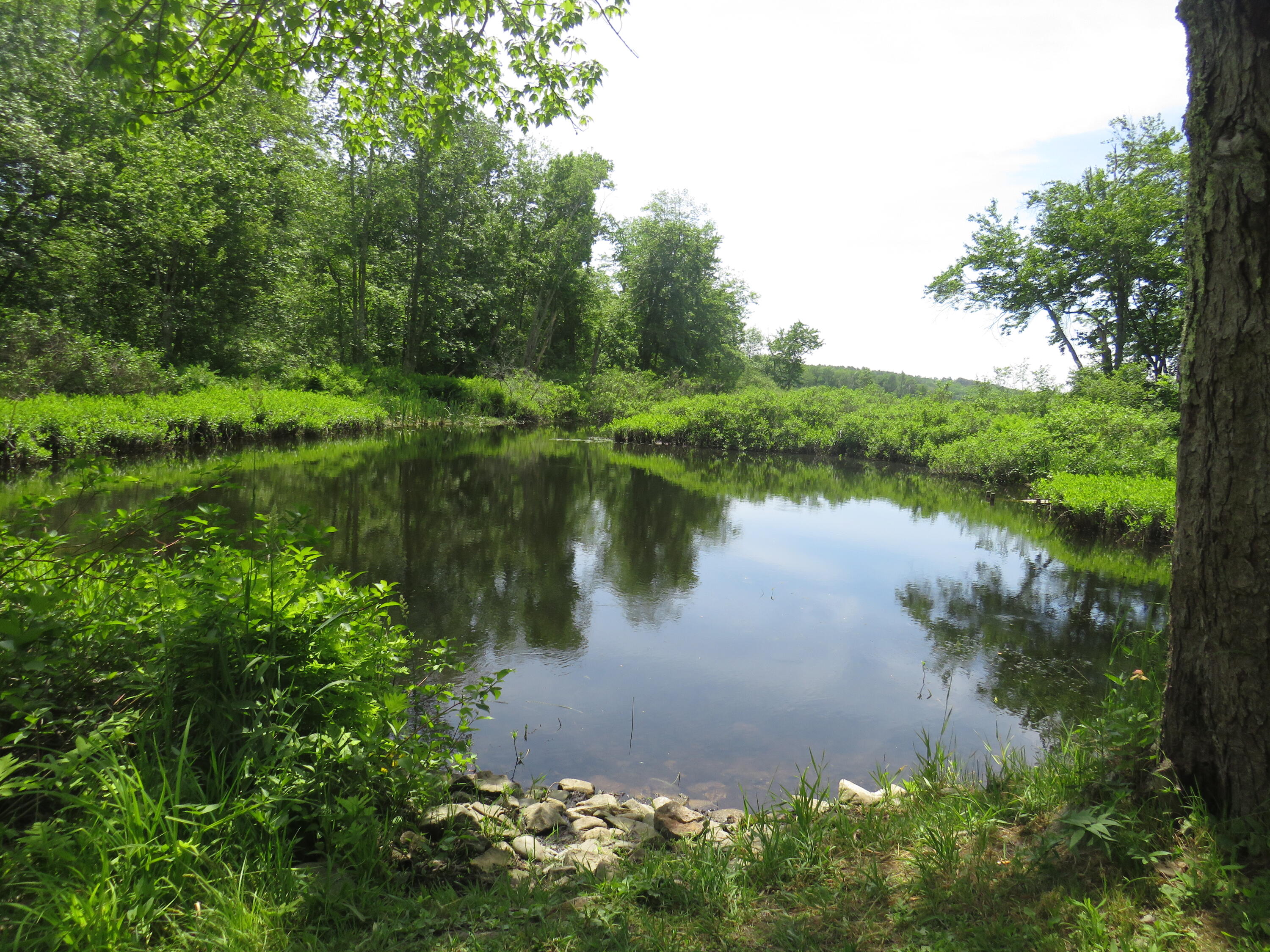 1257 North North Pond Road Warren, ME 04864 - Photo 10 of 57 IMG_1183