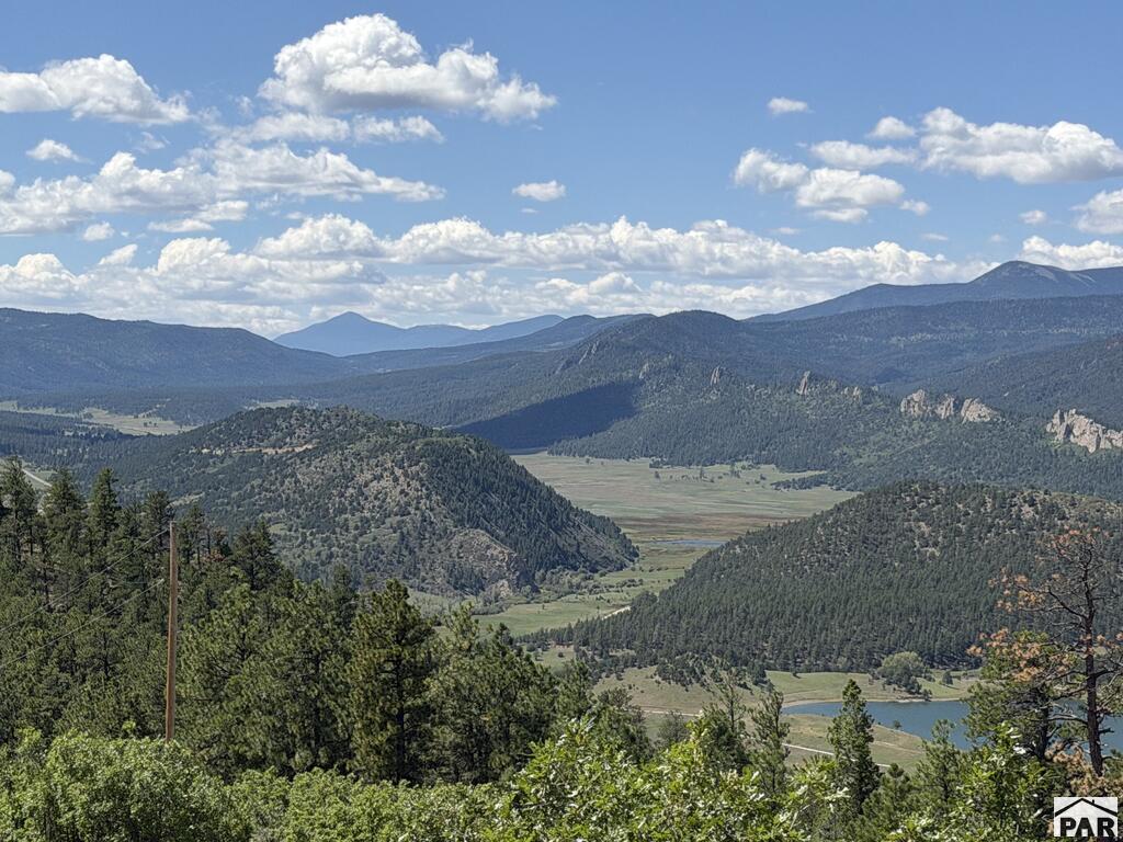 13333 Stonewall Parallel Road Weston, CO 81091 - Photo 8 of 55 Gallery Image 8