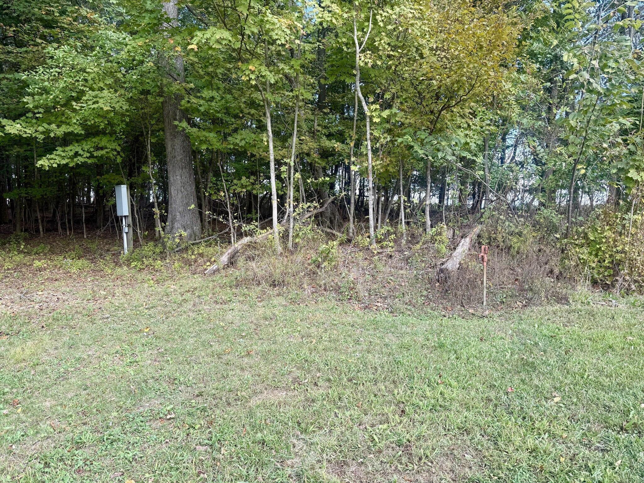 15596 Carson Road Mount Vernon, OH 43050 - Photo 8 of 45 08