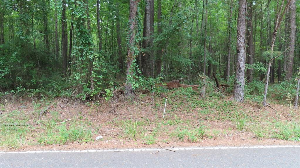 0 Shiloh Road Springhill, LA 71075 - Photo 11 of 13 a view of a forest