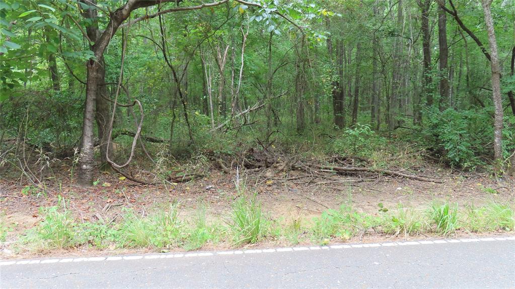 0 Shiloh Road Springhill, LA 71075 - Photo 12 of 13 a backyard of a house with lots of green space