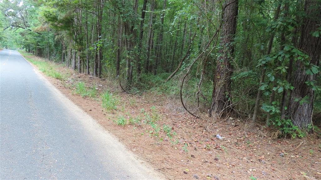 0 Shiloh Road Springhill, LA 71075 - Photo 13 of 13 a view of a forest with a trees