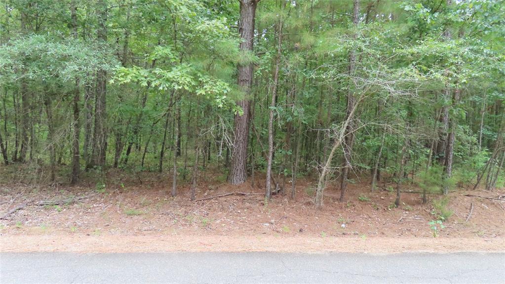 0 Shiloh Road Springhill, LA 71075 - Photo 3 of 13 a view of a forest with trees in the background