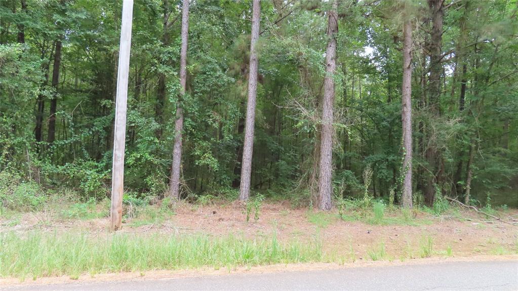 0 Shiloh Road Springhill, LA 71075 - Photo 4 of 13 a view of a backyard