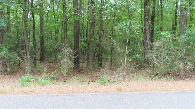 a view of a yard with trees