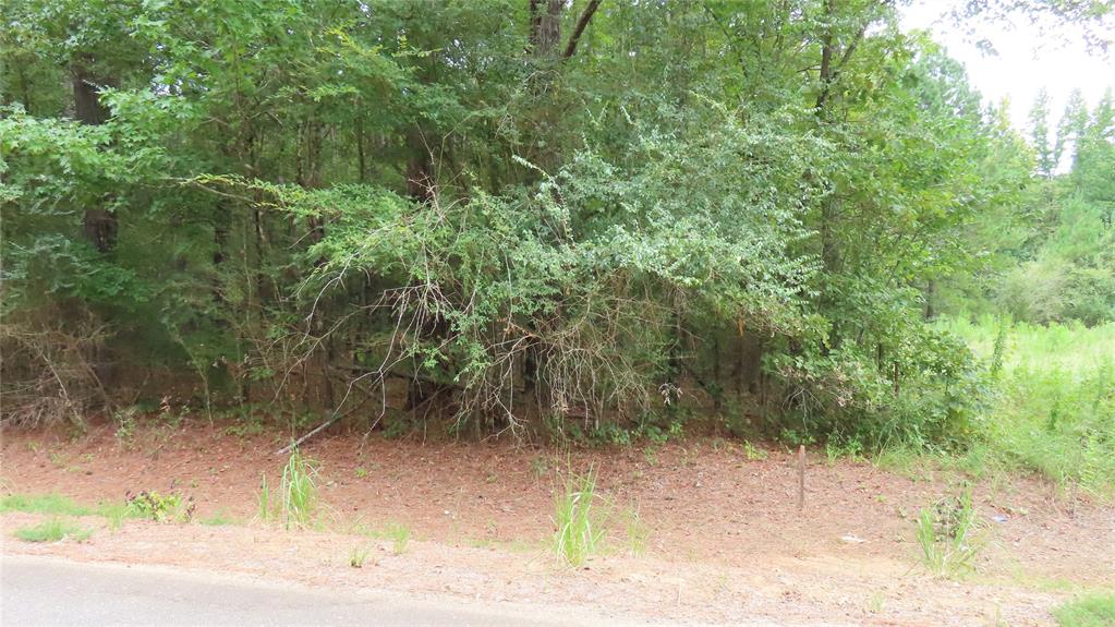 0 Shiloh Road Springhill, LA 71075 - Photo 7 of 13 a view of a yard