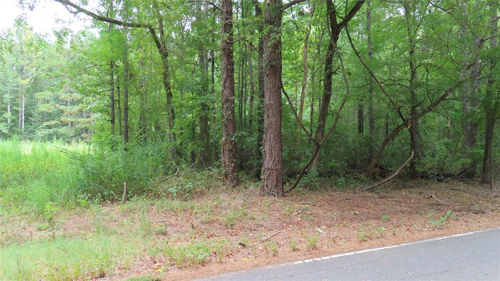 0 Shiloh Road Springhill, LA 71075 - Photo 8 of 13 a view of a forest with trees in the background