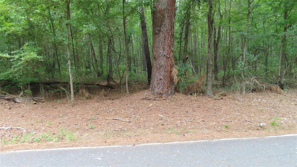 0 Shiloh Road Springhill, LA 71075 - Photo 10 of 13 a backyard of a house with lots of green space