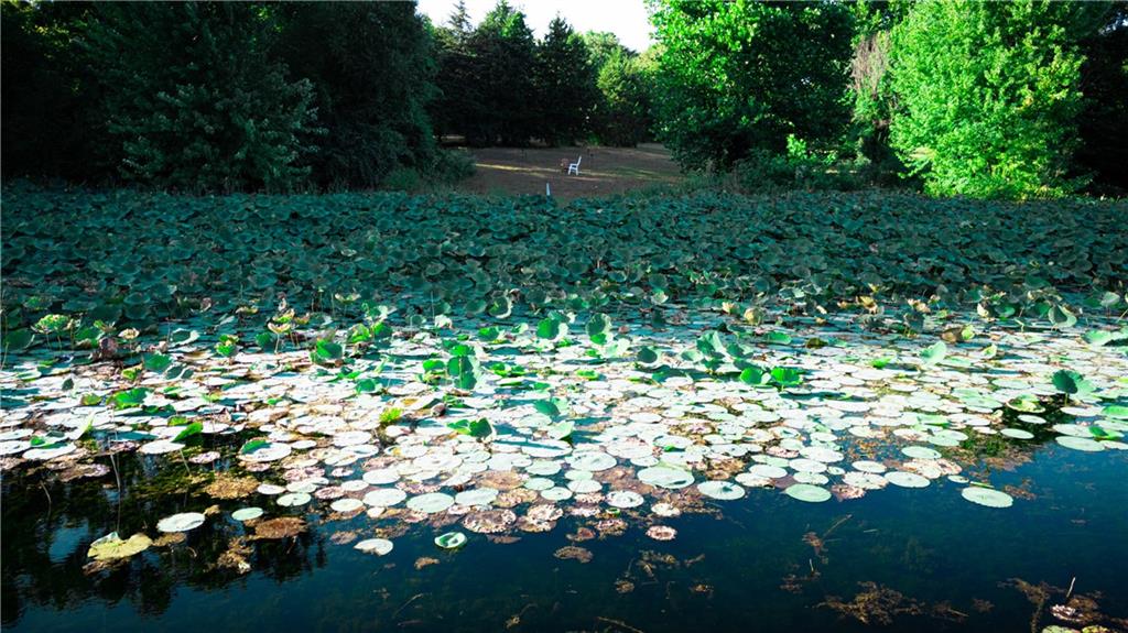 144 Southeast 250th Road Warrensburg, MO 64093 - Photo 37 of 51