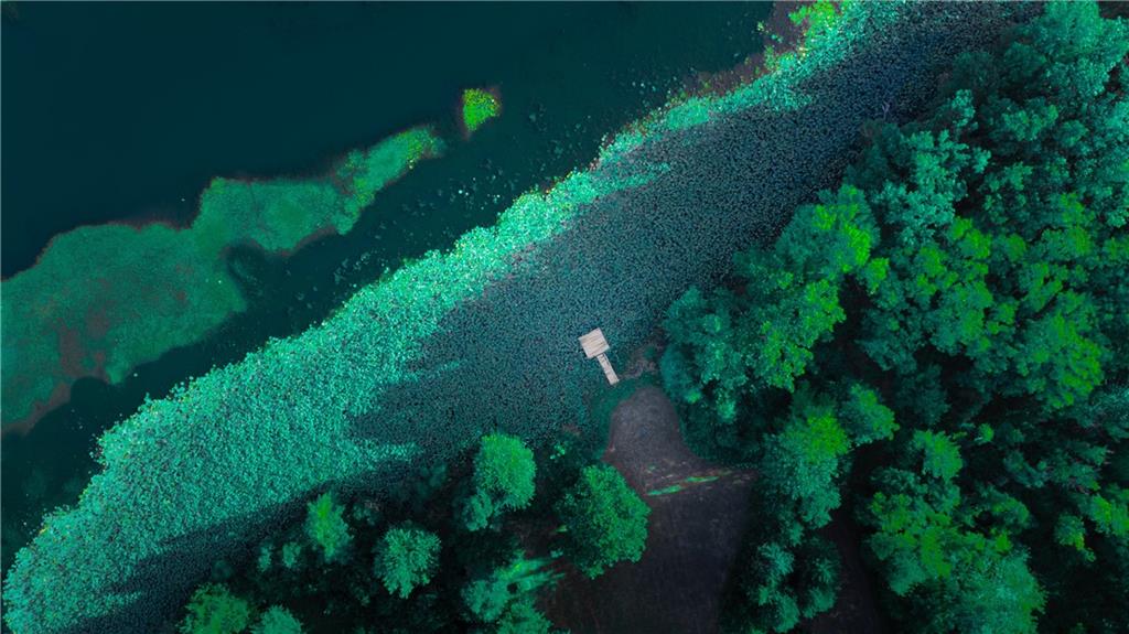 144 Southeast 250th Road Warrensburg, MO 64093 - Photo 39 of 51