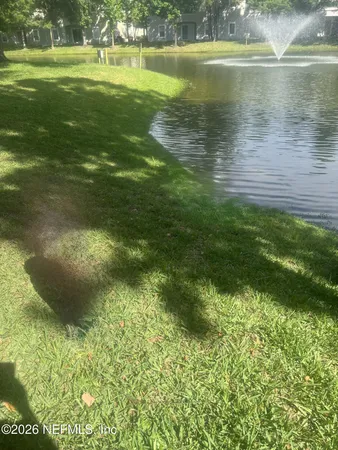 a view of a lake from a yard