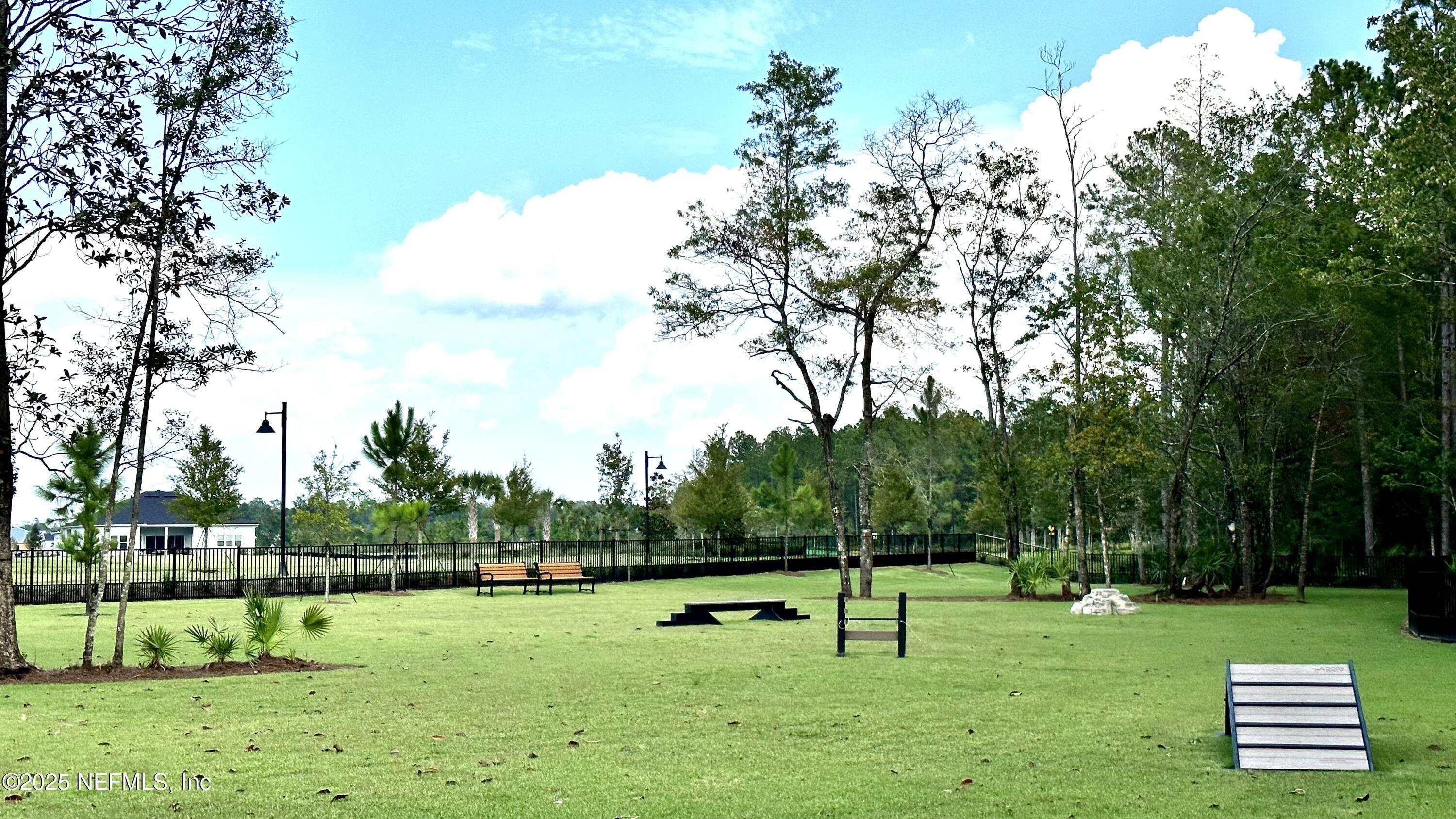 108 Orangedale Circle St. Johns, FL 32259 - Photo 43 of 48 a view of a park with large trees
