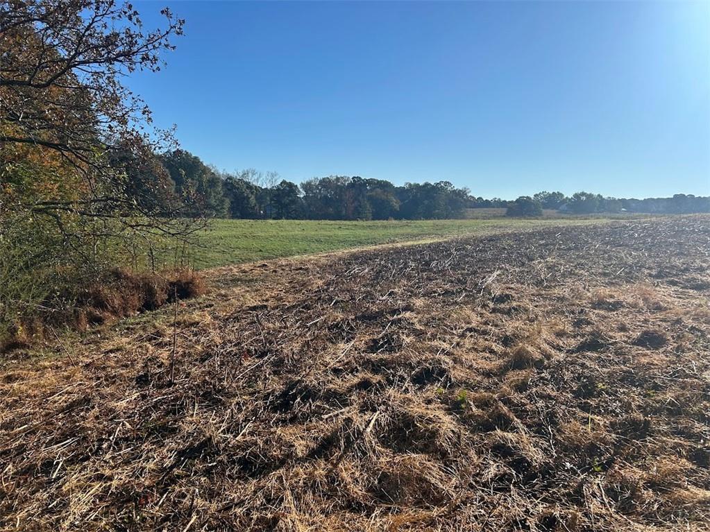 0 Old Columbus Road Bowdon, GA 30108 - Photo 25 of 26