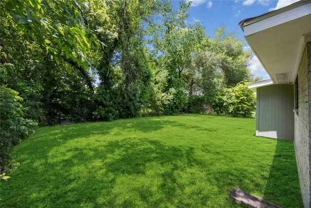 a view of yard with green space