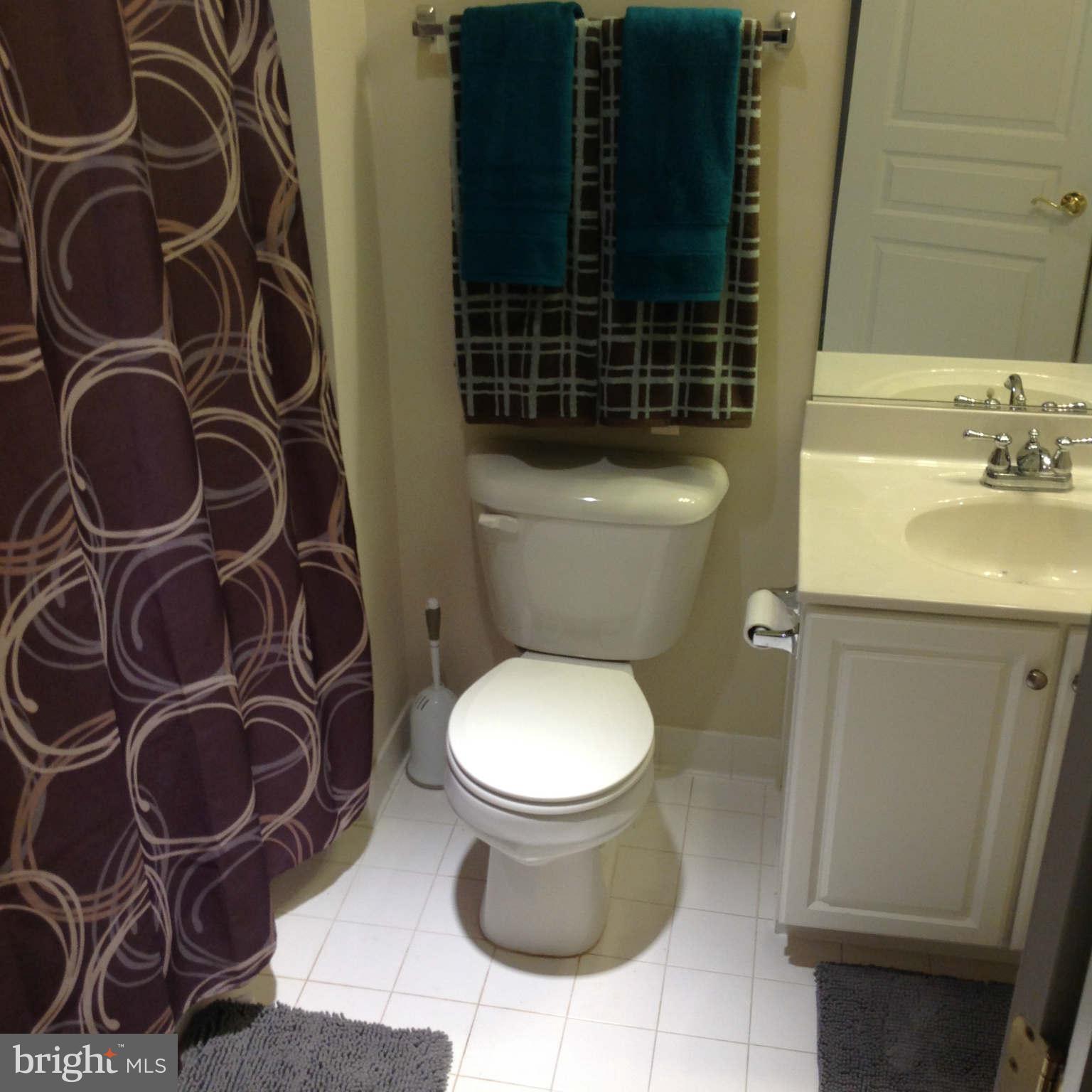 1864 B Monocacy View Circle, Unit 56B Frederick, MD 21701 - Photo 11 of 30 Bath