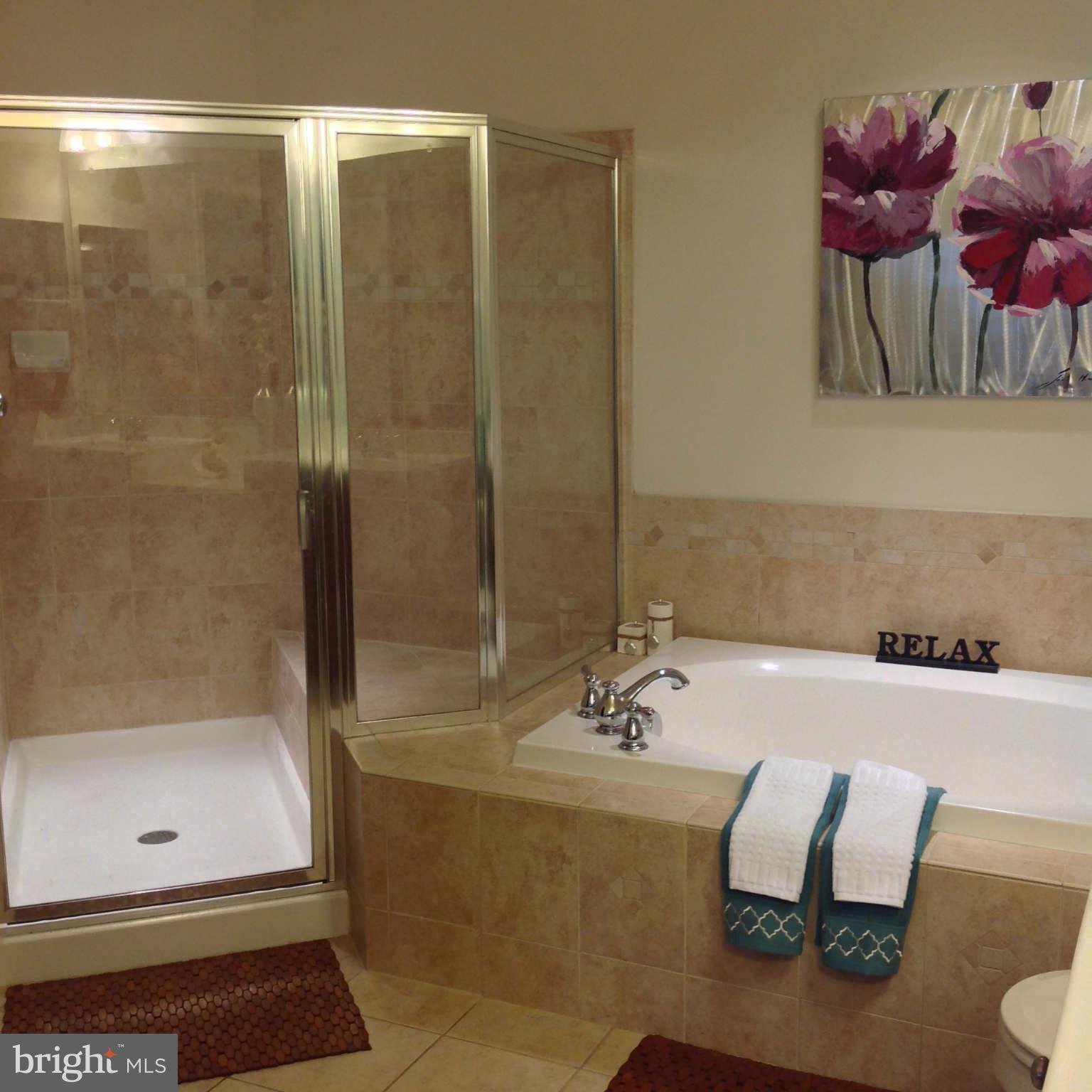 1864 B Monocacy View Circle, Unit 56B Frederick, MD 21701 - Photo 14 of 30 Bath (Master)