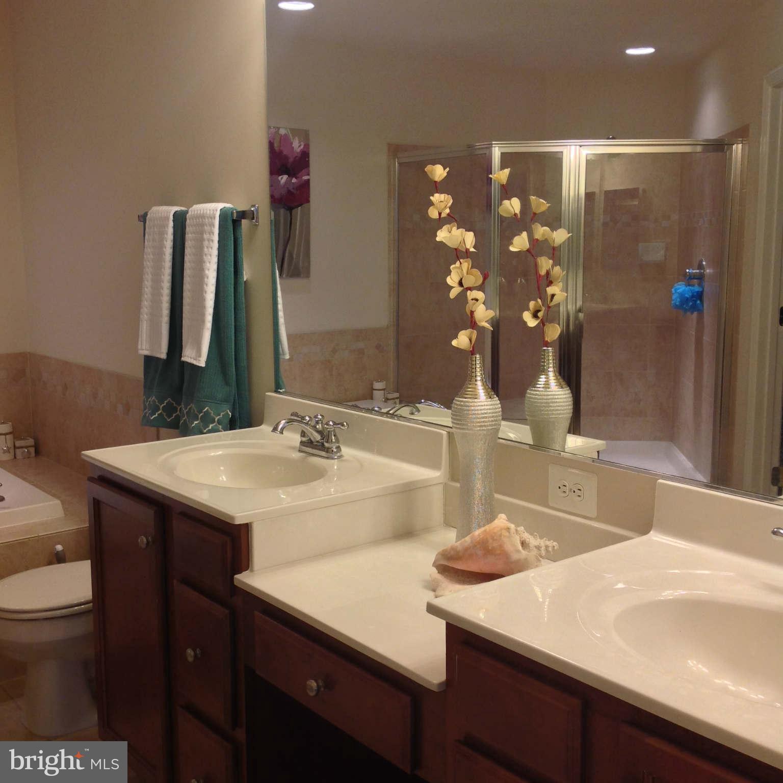 1864 B Monocacy View Circle, Unit 56B Frederick, MD 21701 - Photo 15 of 30 Bath (Master)