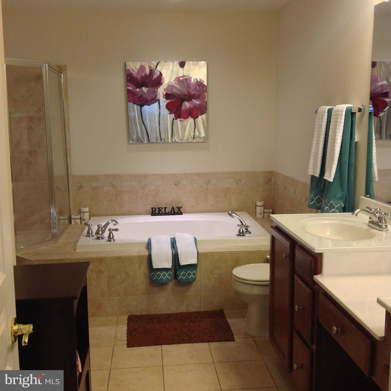 1864 B Monocacy View Circle, Unit 56B Frederick, MD 21701 - Photo 16 of 30 Bath (Master)