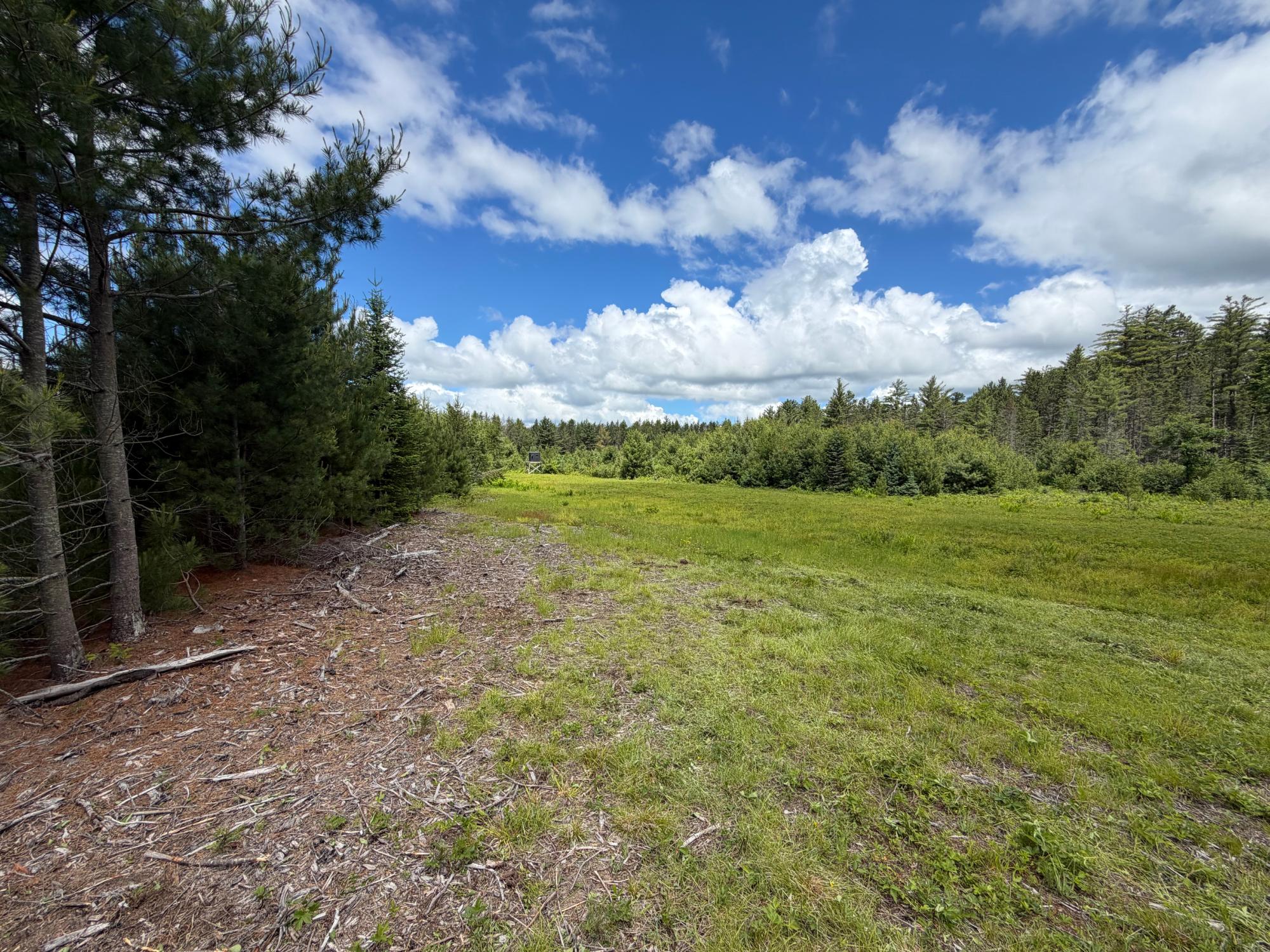 5566 McNaughton Lane Rhinelander, WI 54501 - Photo 1 of 32 Gallery Image 1