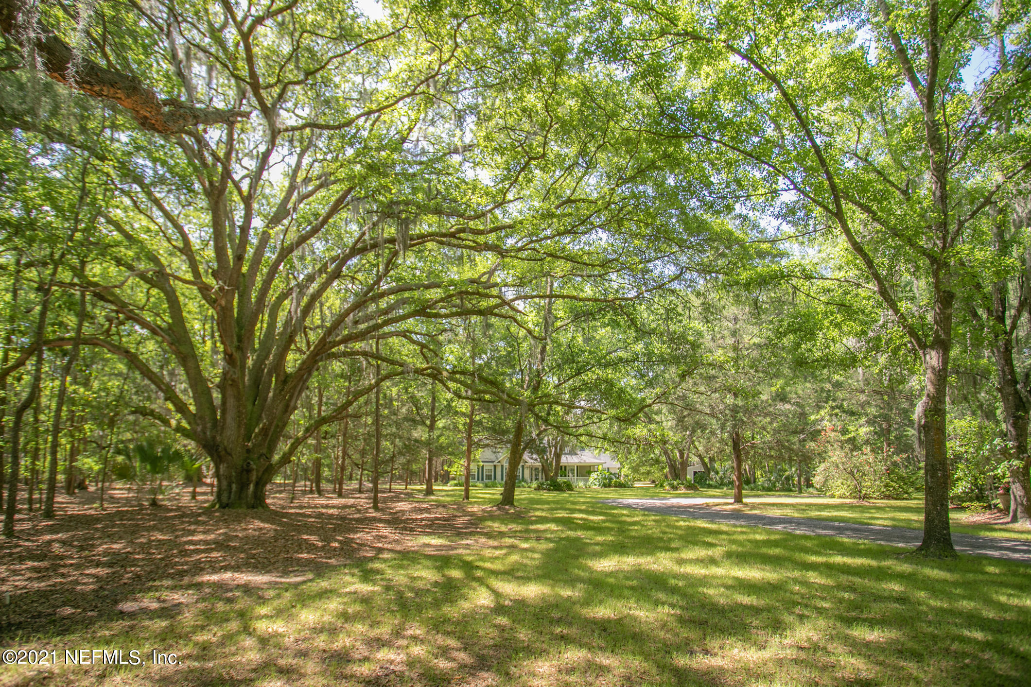 2718 Starratt Road Jacksonville, FL 32226 - Photo 6 of 83 2718 Starratt Rd (6)