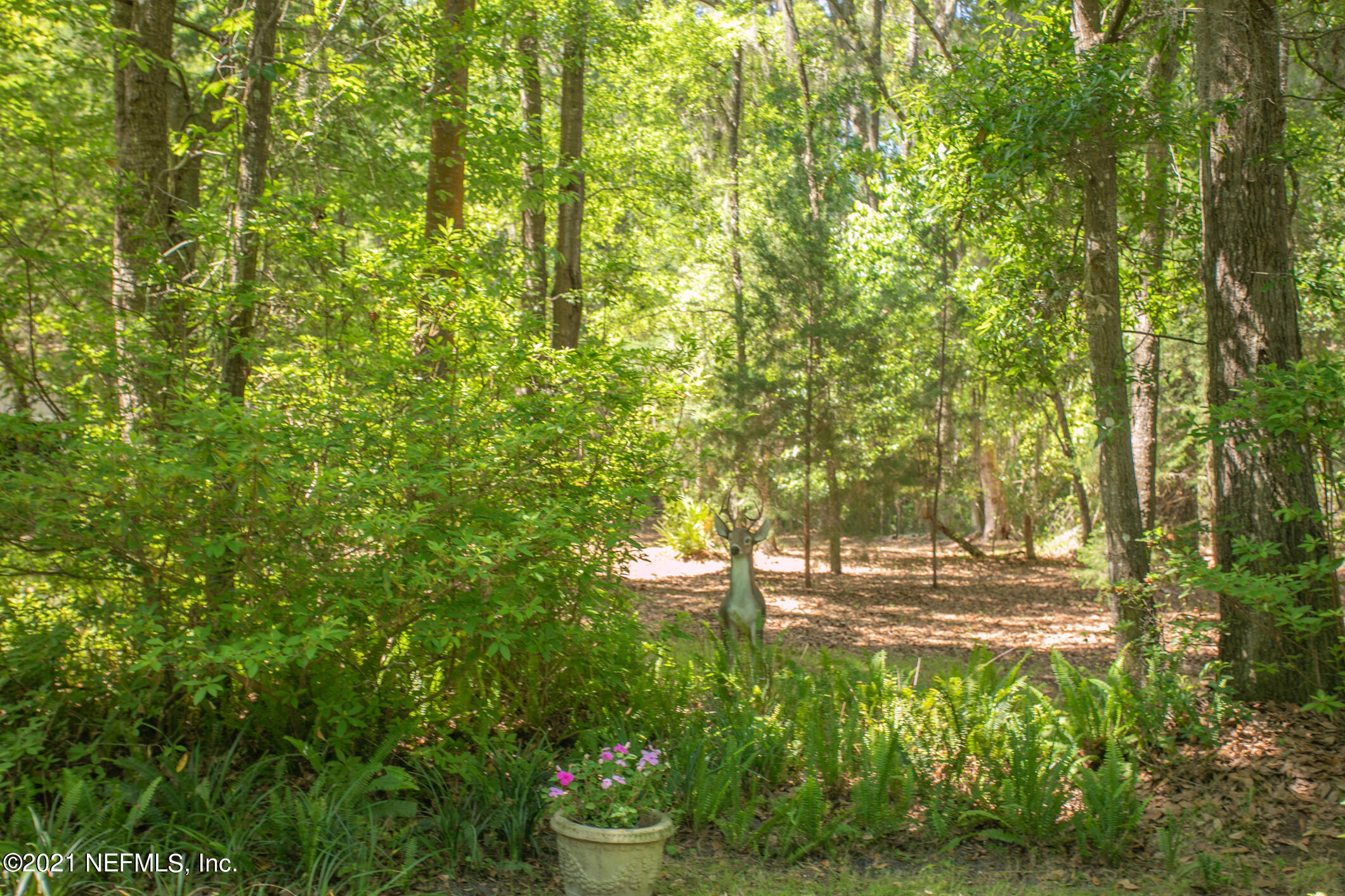 2718 Starratt Road Jacksonville, FL 32226 - Photo 65 of 83 2718 Starratt Rd (65)