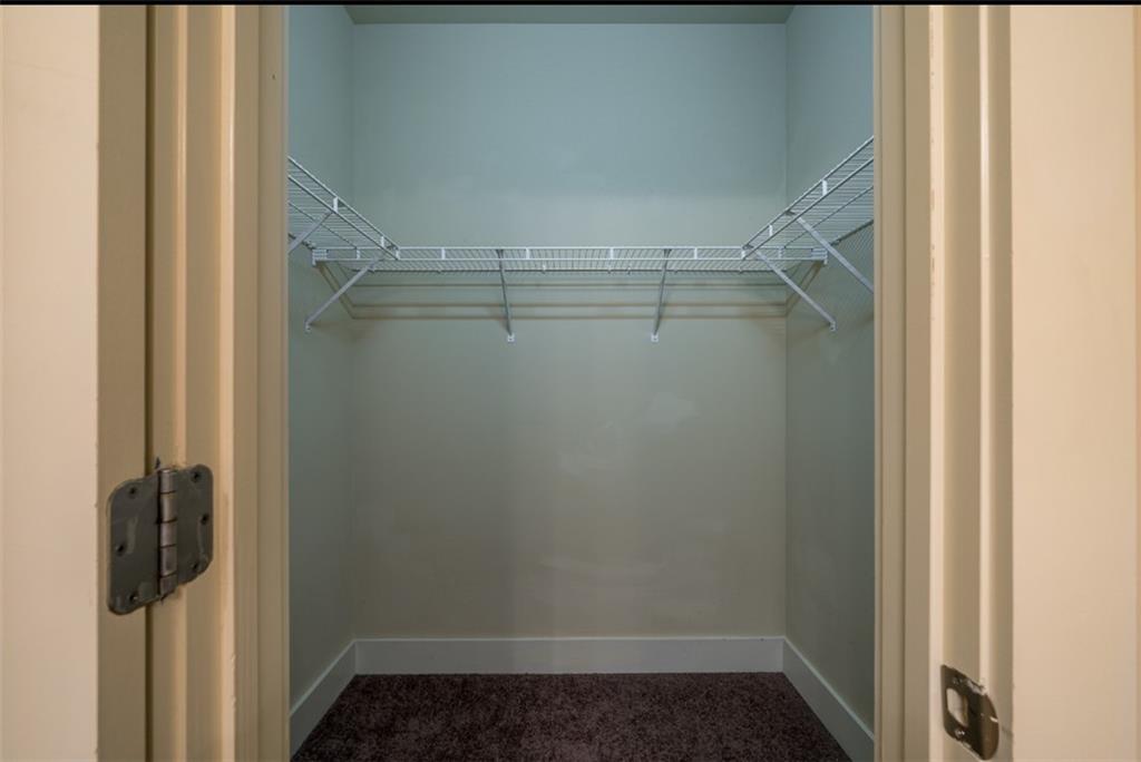 223 Morningstar Way Ball Ground, GA 30107 - Photo 26 of 39