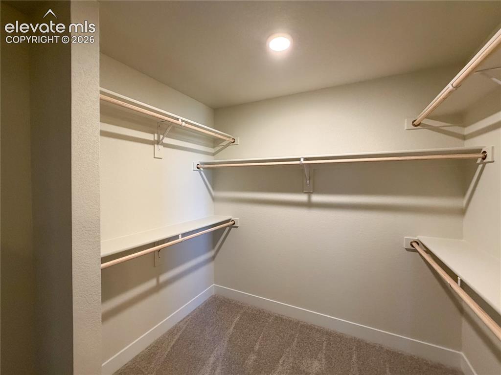 8206 Lemon Grass Road Peyton, CO 80831 - Photo 21 of 33
