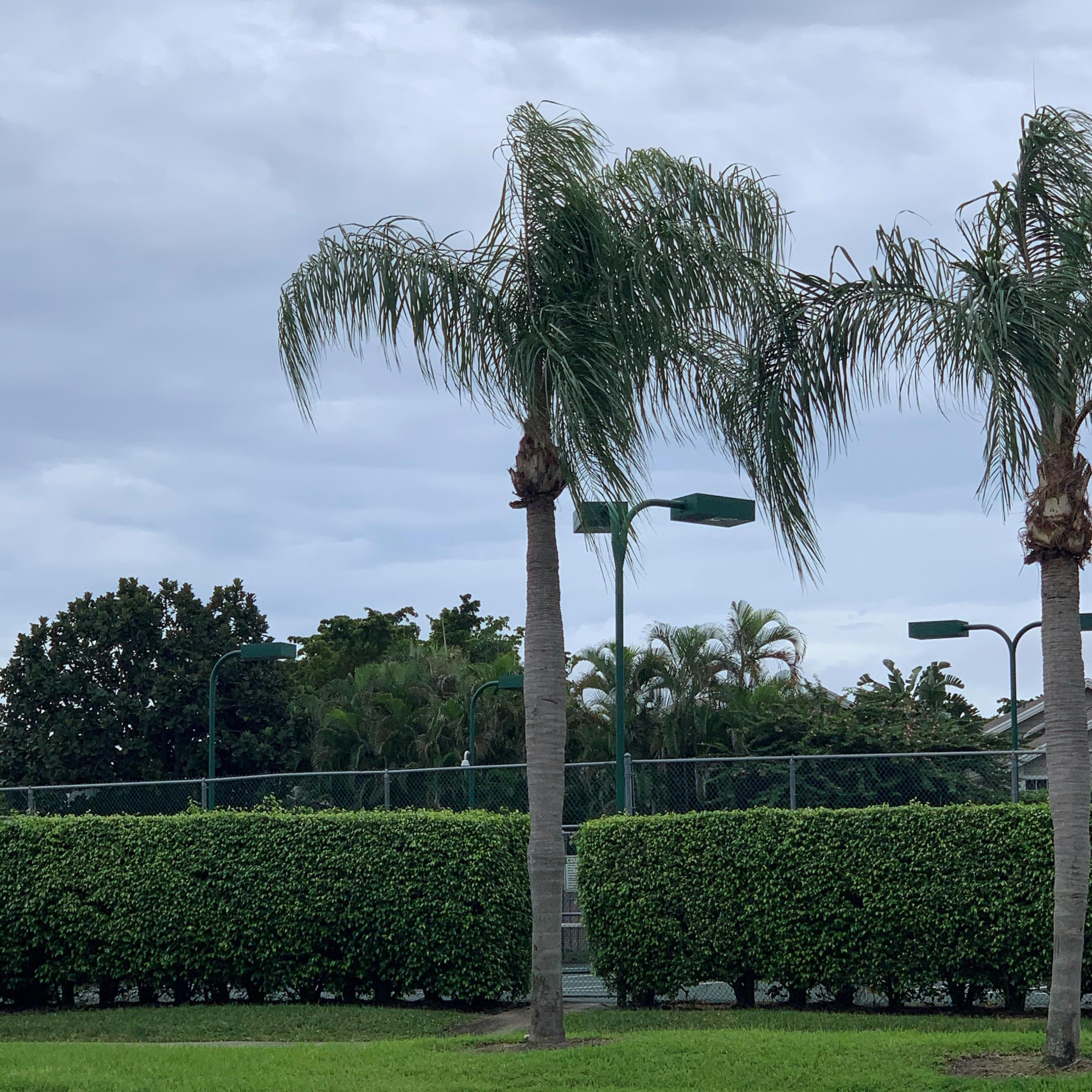 5328 Buckhead Circle, Unit 2020 Boca Raton, FL 33486 - Photo 29 of 30 Community Tennis
