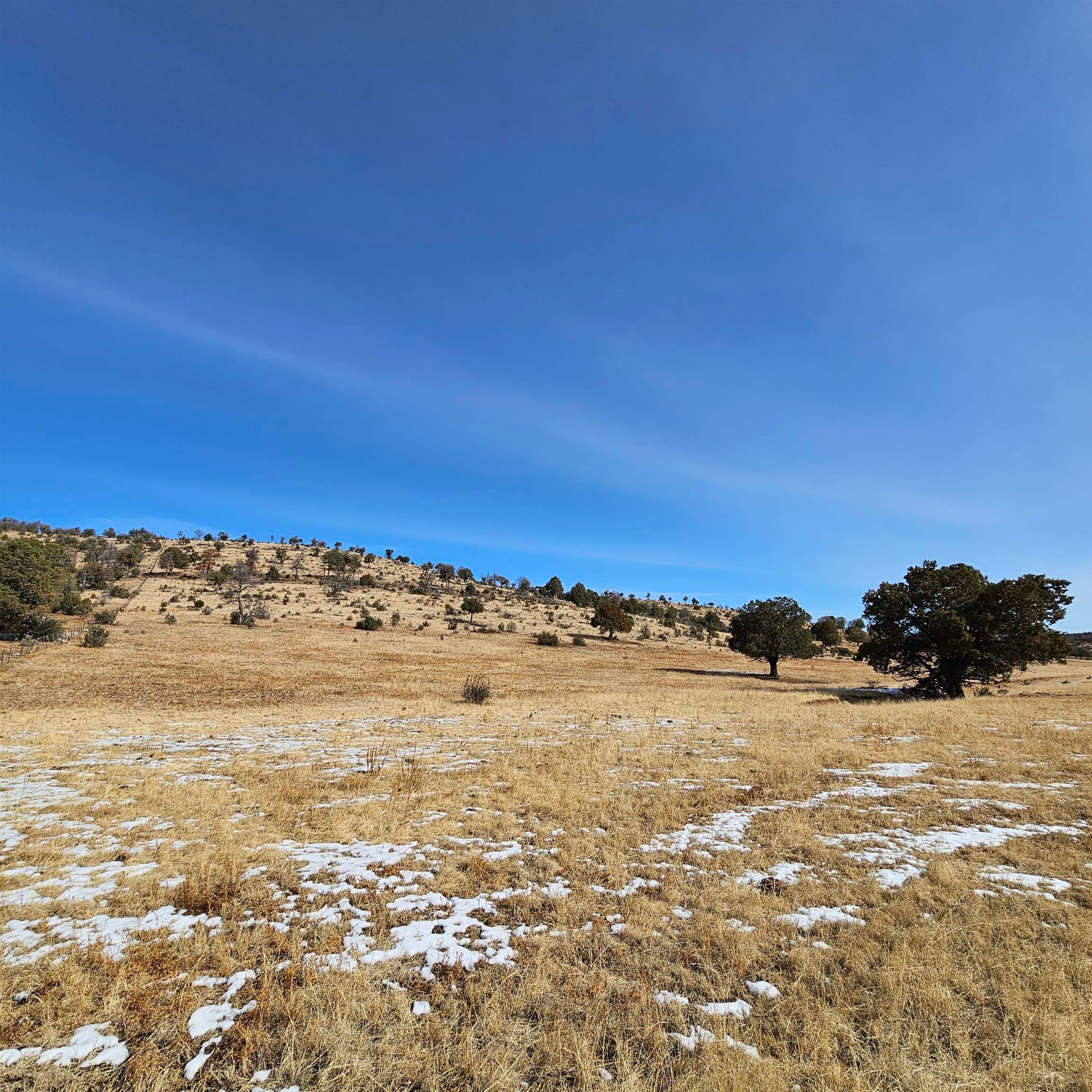 0 Miller Flats Road Mayhill, NM 88339 - Photo 26 of 39 Gallery Image 26