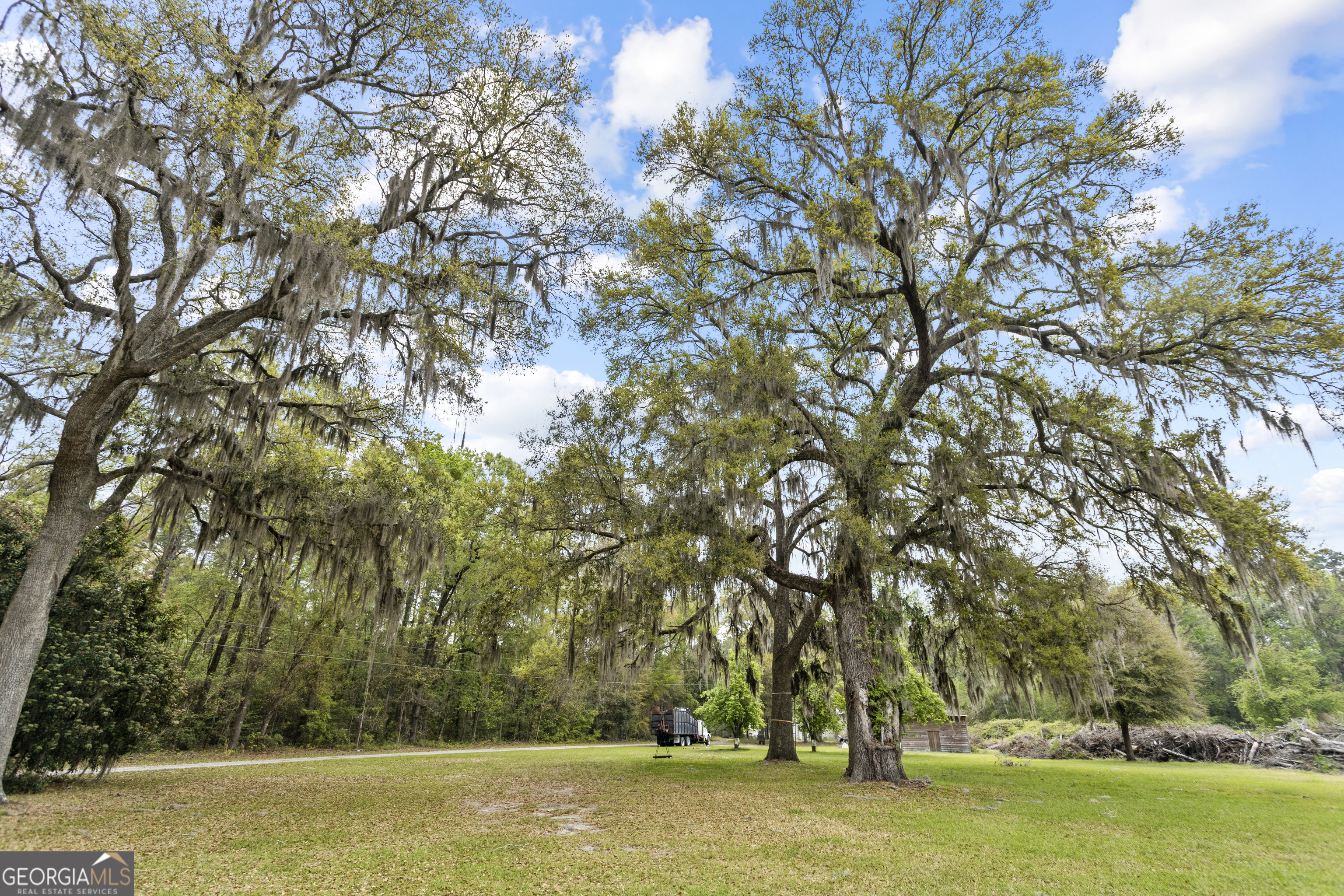 160 Hall Street Hinesville, GA 31313 - Photo 17 of 34 a view of a large yard with large trees