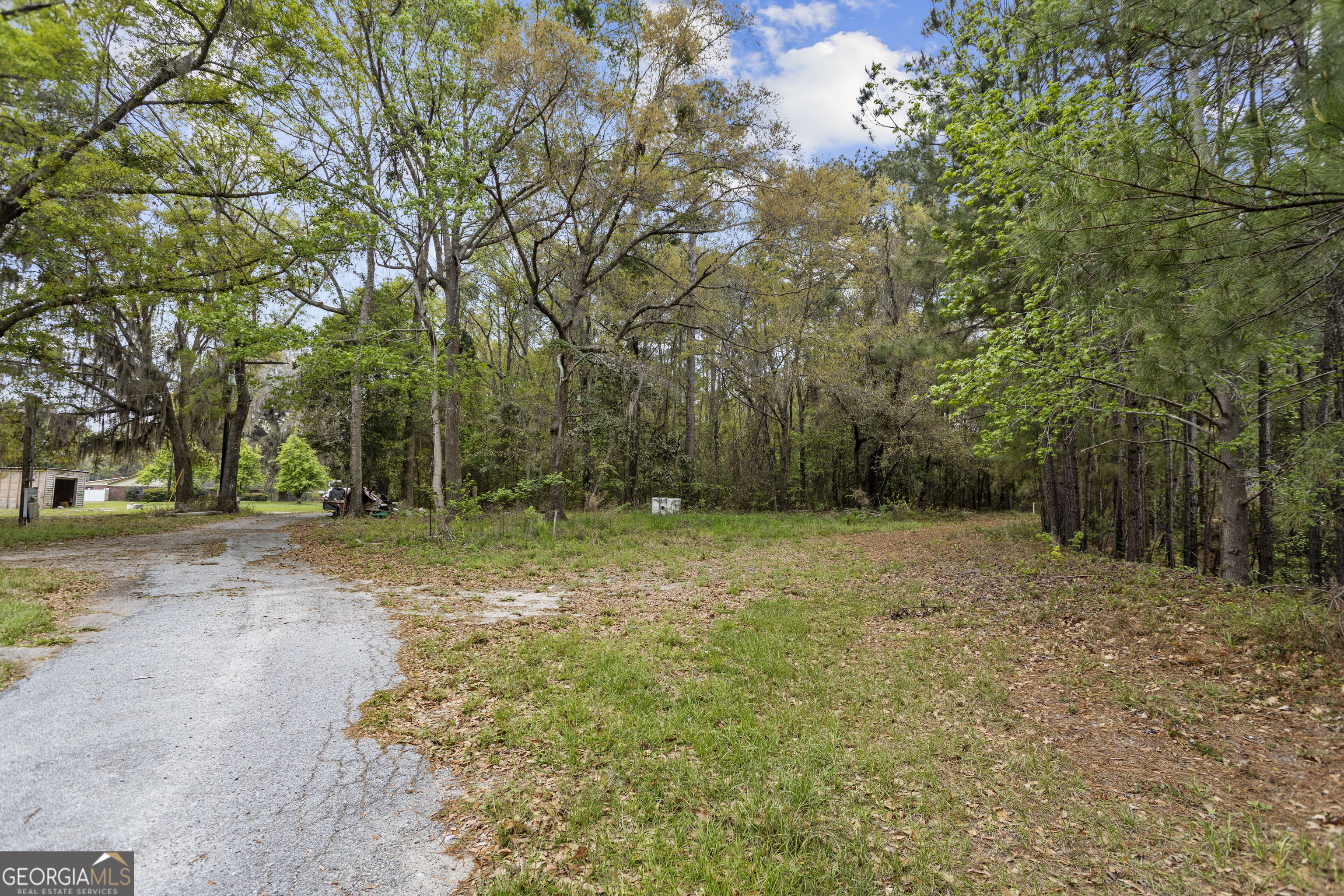 160 Hall Street Hinesville, GA 31313 - Photo 23 of 34 a view of a yard with trees