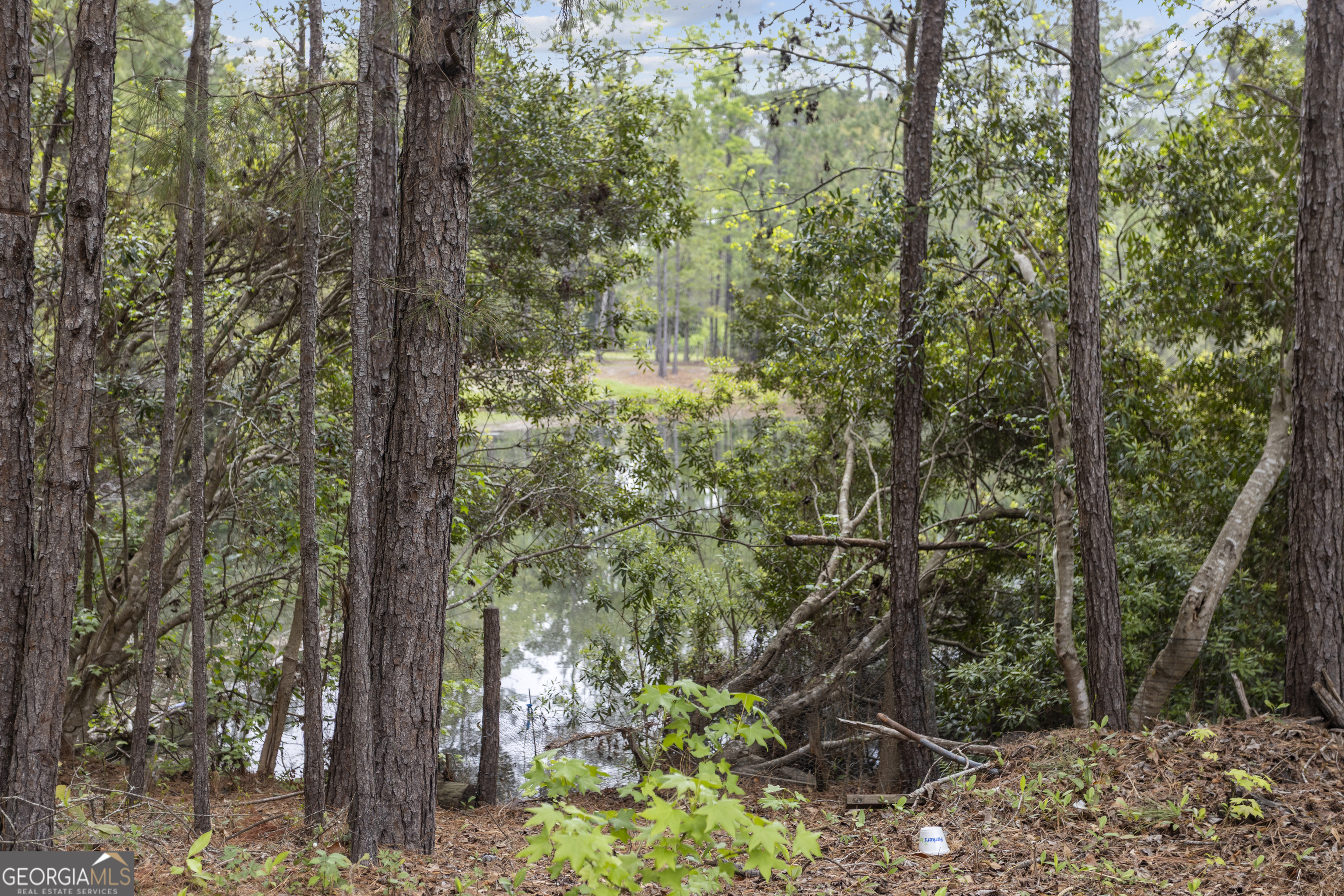 160 Hall Street Hinesville, GA 31313 - Photo 31 of 34 a view of a forest with trees