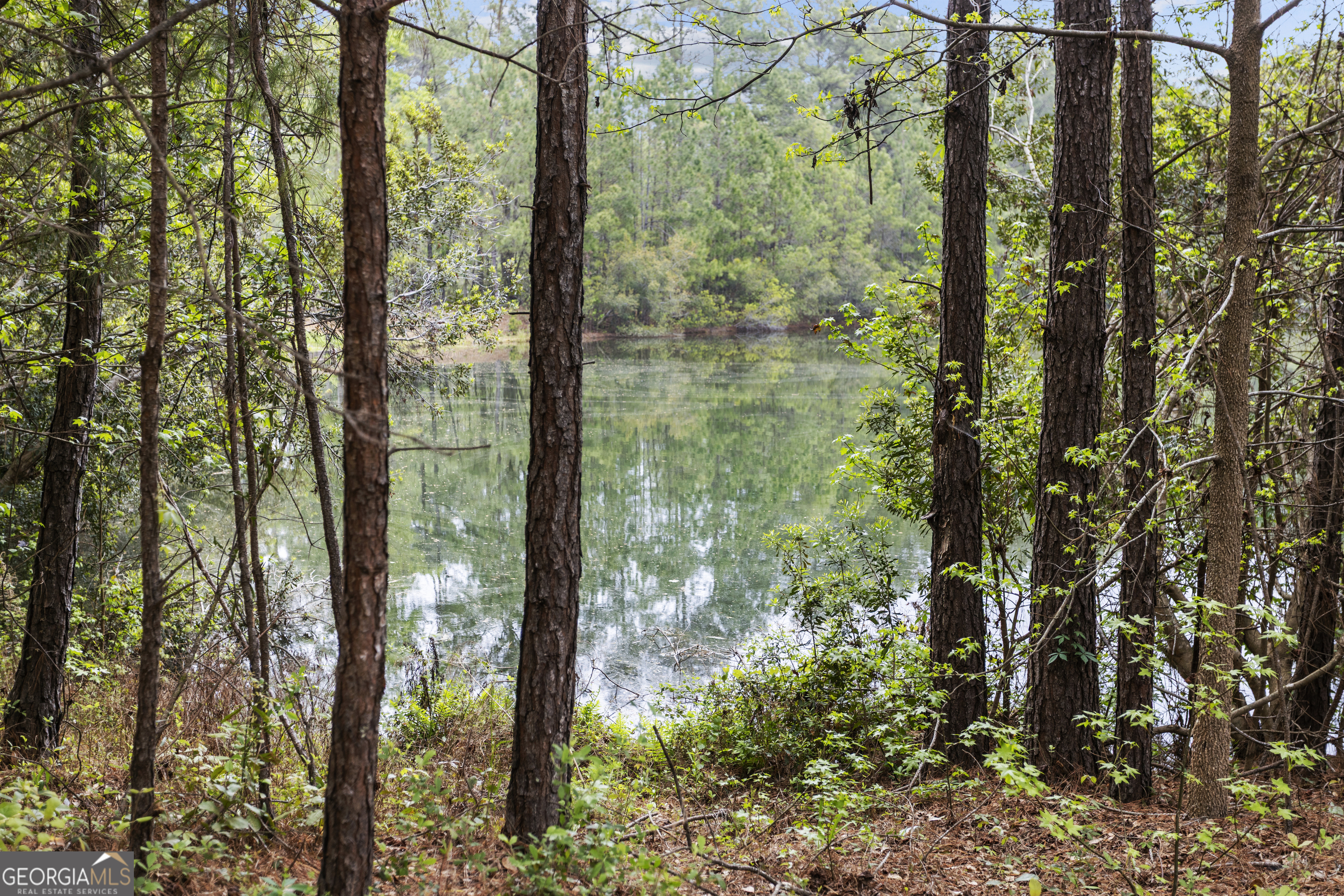 160 Hall Street Hinesville, GA 31313 - Photo 32 of 34 a view of a forest from balcony