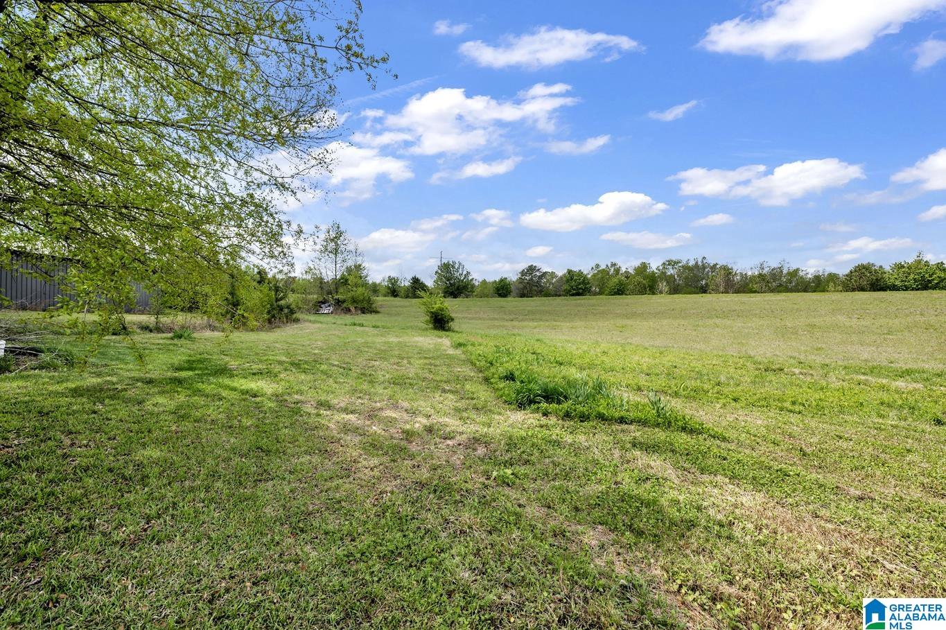 6720 Highway 27 Springville Al Springville, AL 35146 - Photo 11 of 33