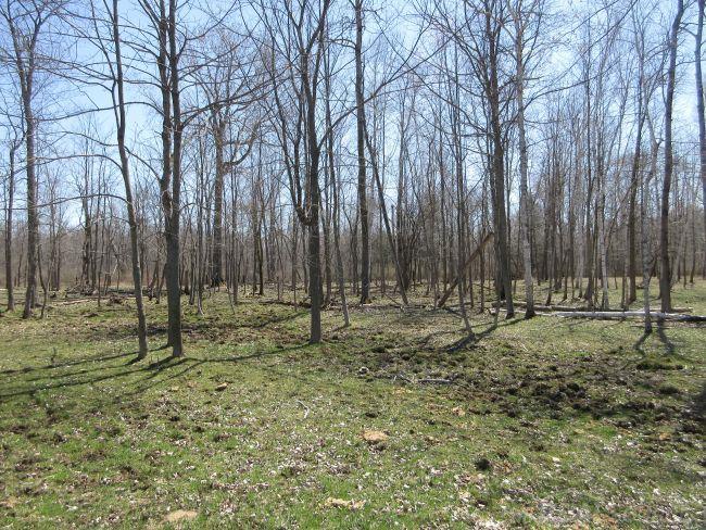 6277 Sheridan Road Vassar, MI 48768 - Photo 66 of 70 Gallery Image 66