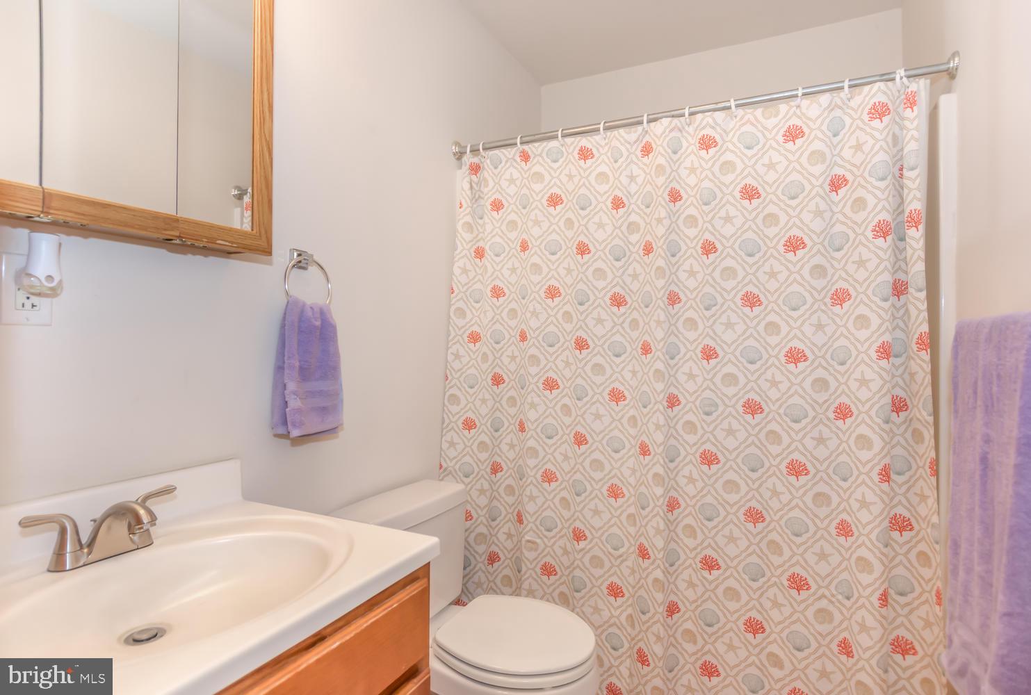 6900 Campbell Hl Road Hurlock, MD 21643 - Photo 22 of 28 Spare Bathroom