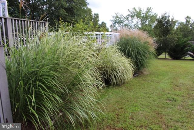 1962 Randall Road Enola, PA 17025 - Photo 37 of 44 Mature landscaping
