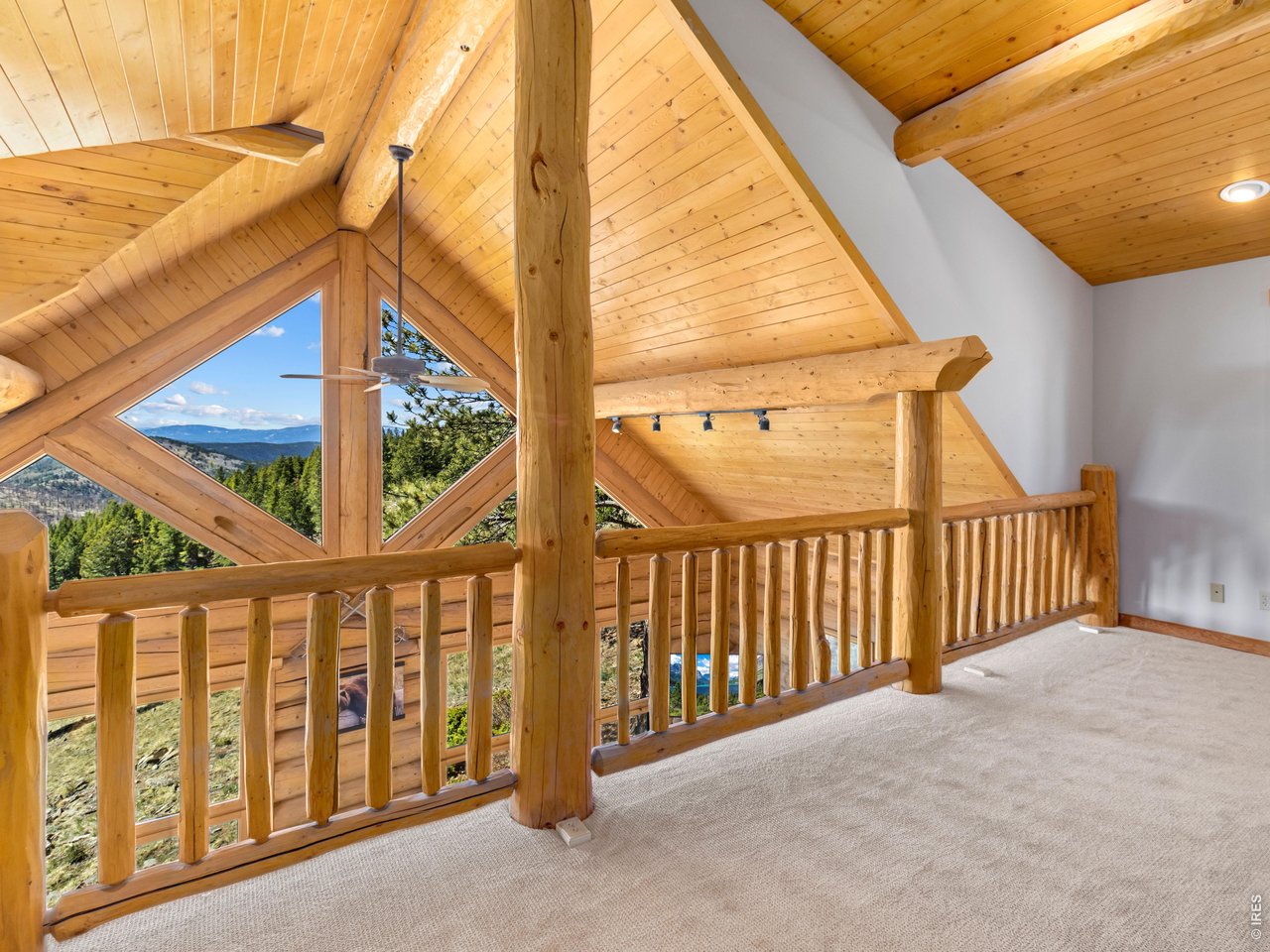 1398 Gold Lake Road Ward, CO 80481 - Photo 16 of 39 a view of a porch