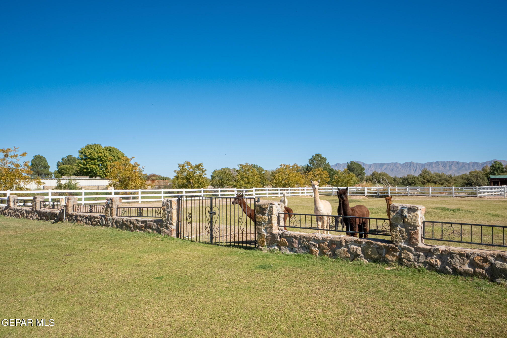 6750 Gato Road El Paso, TX 79932 - Photo 35 of 43 a view of a lake with a mountain view