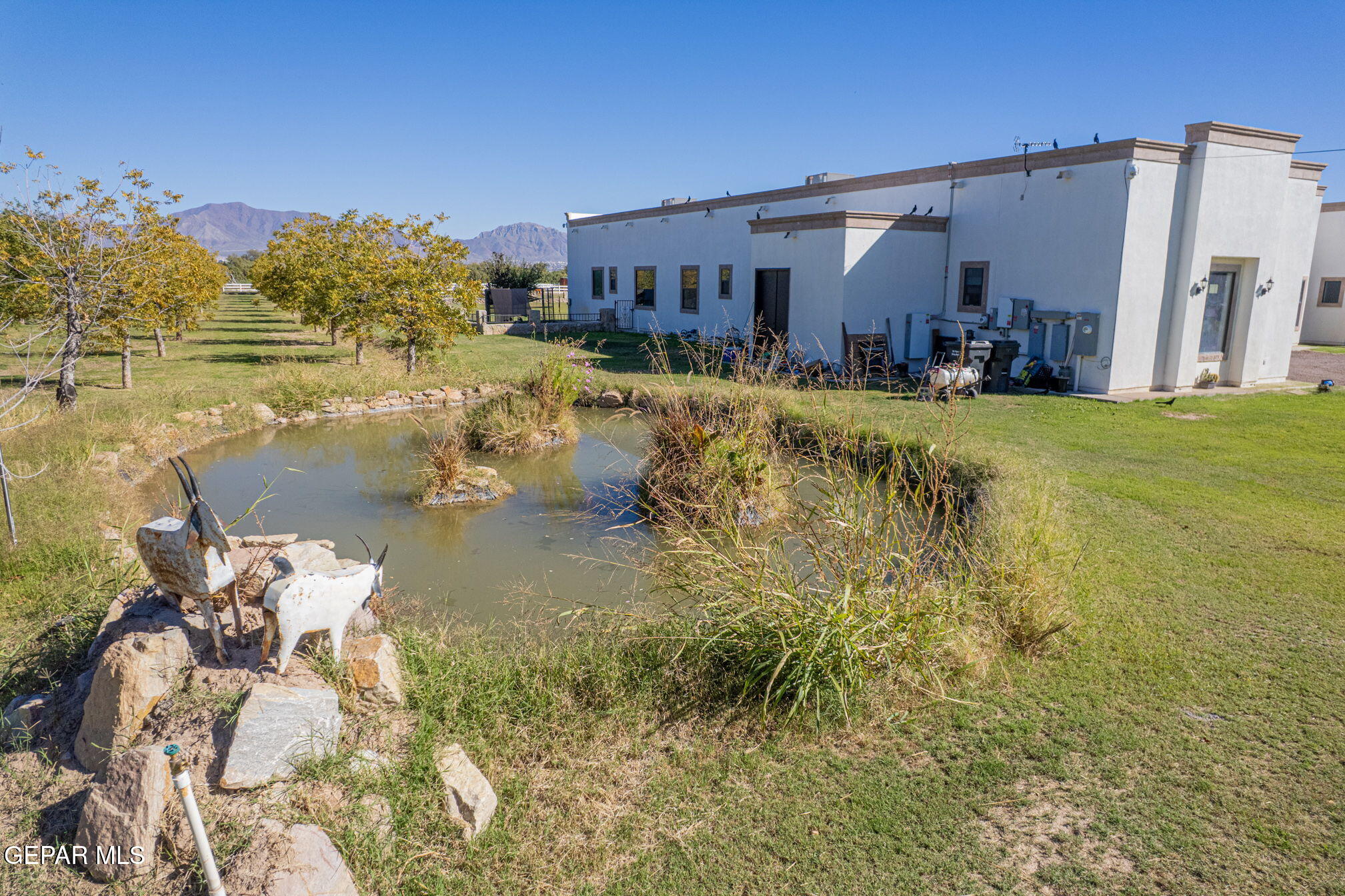 6750 Gato Road El Paso, TX 79932 - Photo 37 of 43 a view of yard with swimming pool and trees in the background