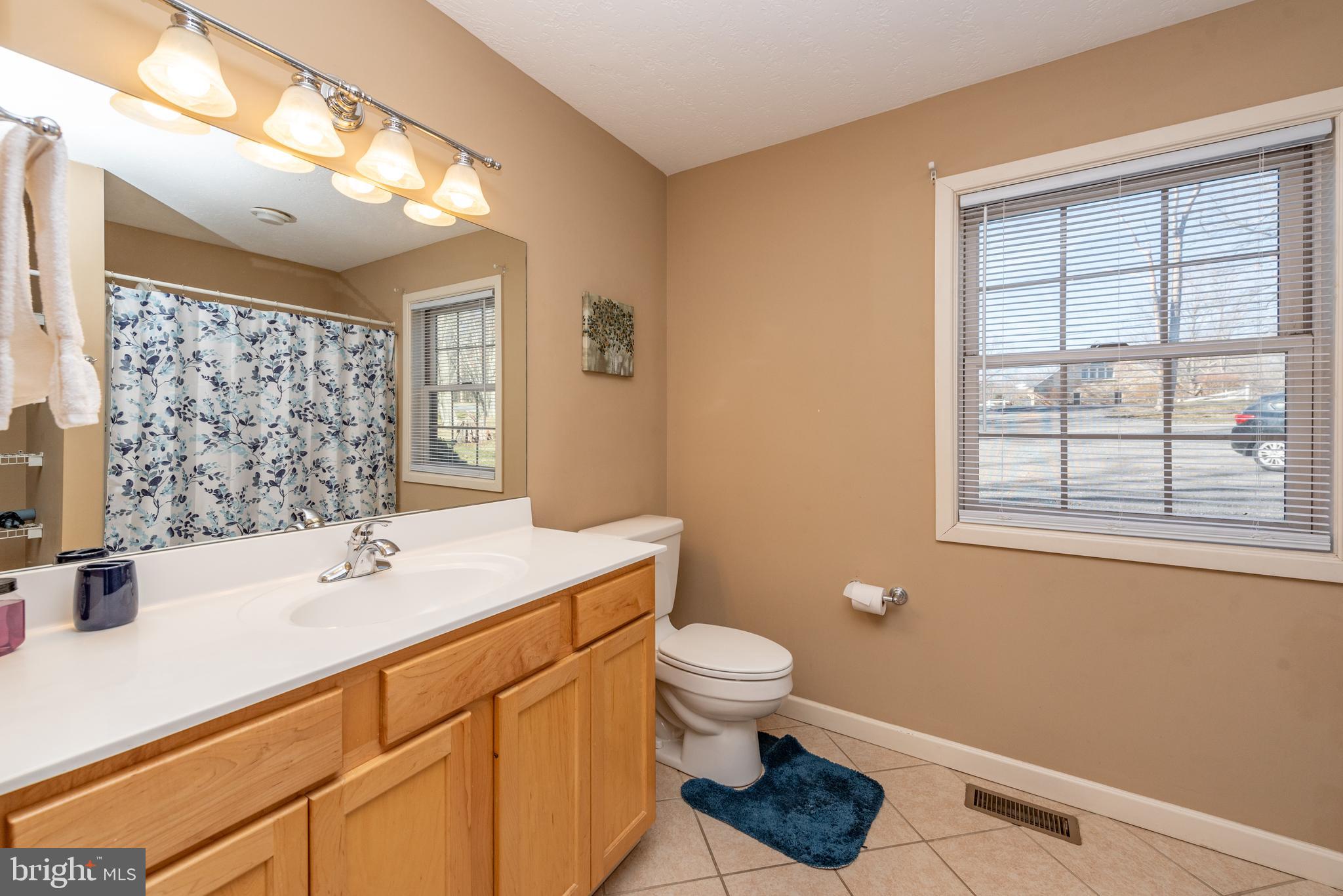 2828 Glendale Road Swanton, MD 21561 - Photo 22 of 78 a bathroom with a sink toilet and shower