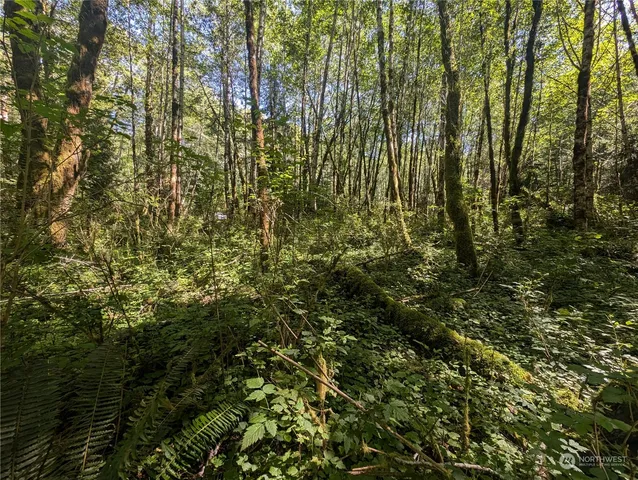 a view of a house with a tree