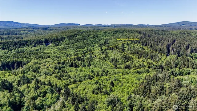 $139,000 | 99993 Dowan Creek Road, Forks, WA 98331