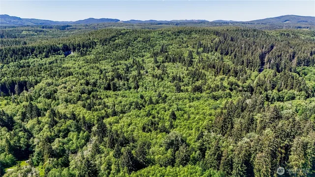 a view of a lush green forest with trees and some houses